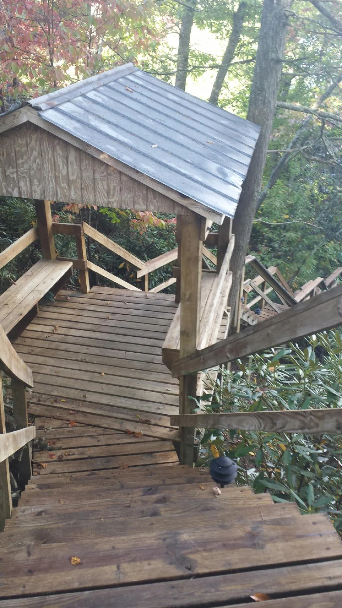 Metal roofed shelter over wooden steps on a wooded walkway — Skylight Repair & Installation work by our crew in Wallace